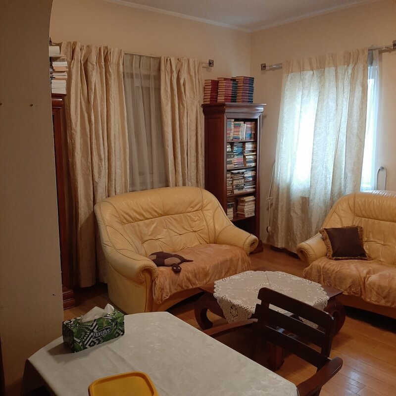 Drumul Taberei, Lidl Moinesti, spatiu comercial si vila rezidentiala, Bucuresti,